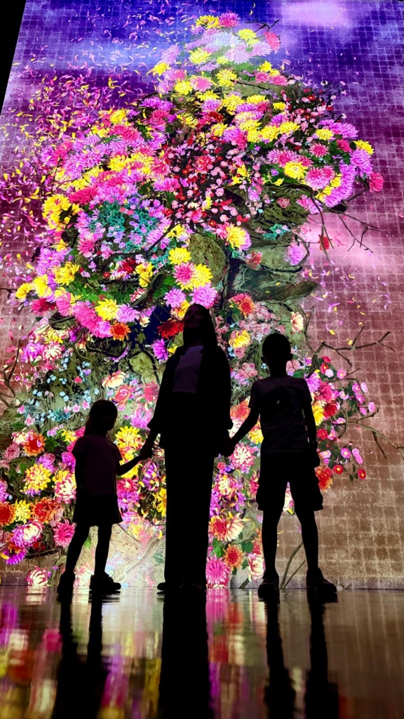 mostra team lab giappones