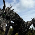 Sentiero del drago di Vaia